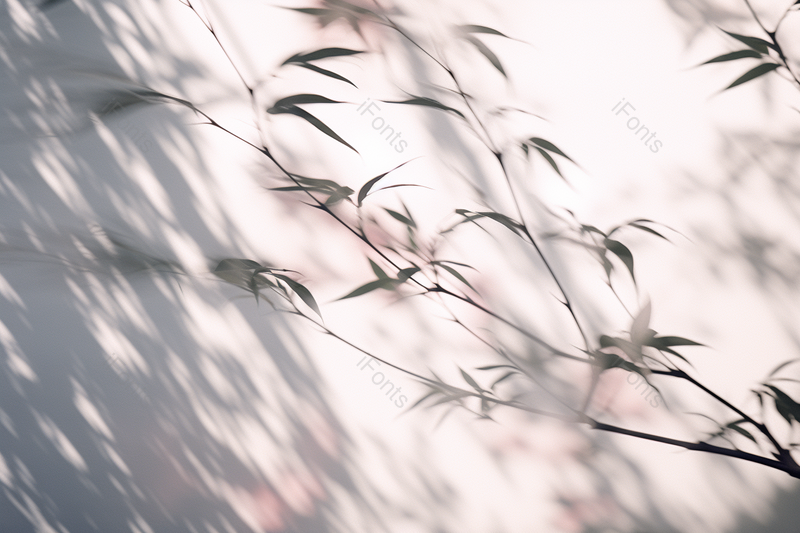 大气竹叶简约光影背景,插画/手绘图,插画/手绘图库,插画/手绘图下载,插画/手绘